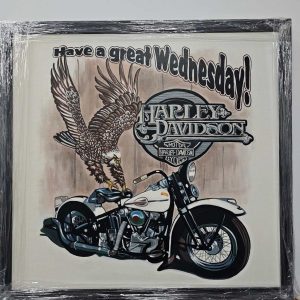 The Iron Horse's Freedom
