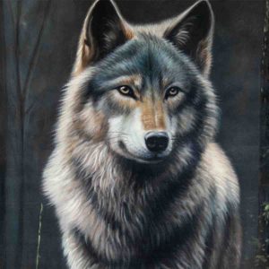 Mystic Wolf Gaze