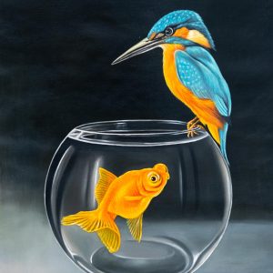 Kingfisher's Gaze