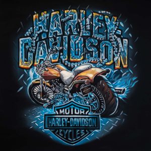 Iconic Harley Davidson Ride